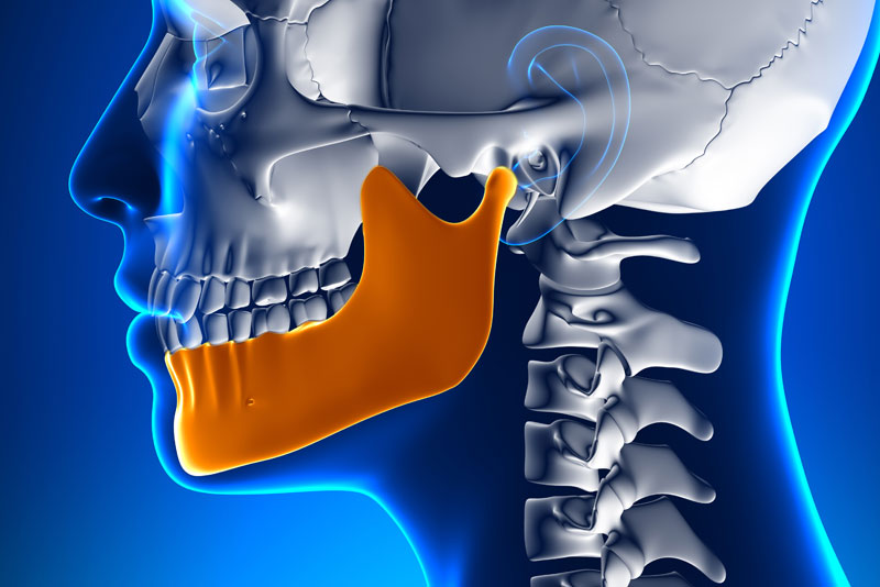 Side image of skeletal head and neck with emphasis on the jaw bone in orange facing to the left